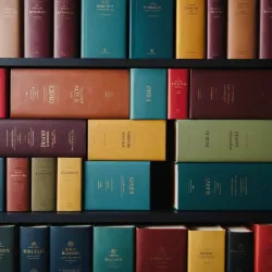 photo of #2 multicolor books on shelves