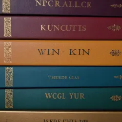 photo of #2 multicolor books on shelves