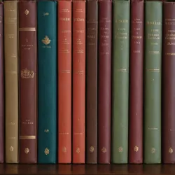 photo of #2 multicolor books on shelves