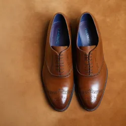 photo of #5 brown exfords